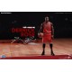 ENTERBAY: 1/6 NBA公牛隊 飆風玫瑰 德瑞克•羅斯Derrick Rose (限量復刻版) 