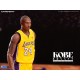 ENTERBAY : 1/6 NBA系列 Kobe Bryant 柯比•布萊恩 242010限量版