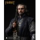 Queen studios INART 1/6《霍比特人:意外之旅》Ag-A018 索林•橡木盾 植發 Queen studios INART 1/6《霍比特人:意外之旅》Ag-A018 索林•橡木盾 植發