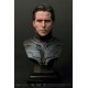 JND STUDIOS :1/3 Batman Bruce Wayne The Dark Knight Rises (Single ver) 蝙蝠俠 黑暗騎士 布魯斯韋恩 單人版 雕像