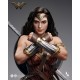 Queen studios INART 1/6《蝙蝠俠大戰超人：正義黎明》Ag- A023 神奇女俠 植發