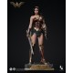 Queen studios INART 1/6《蝙蝠俠大戰超人：正義黎明》Ag- A023 神奇女俠 植發