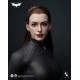 INART 1/6 蝙蝠俠 黑暗騎士崛起 貓女 可動人偶 AgA029